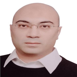 المهندس  محمد حمدي